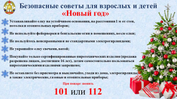 Правила безопасного нового года Правила безопасного нового года.