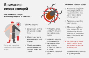 Профилактика инфекционных болезней, передающихся клещами Профилактика инфекционных болезней, передающихся клещами.